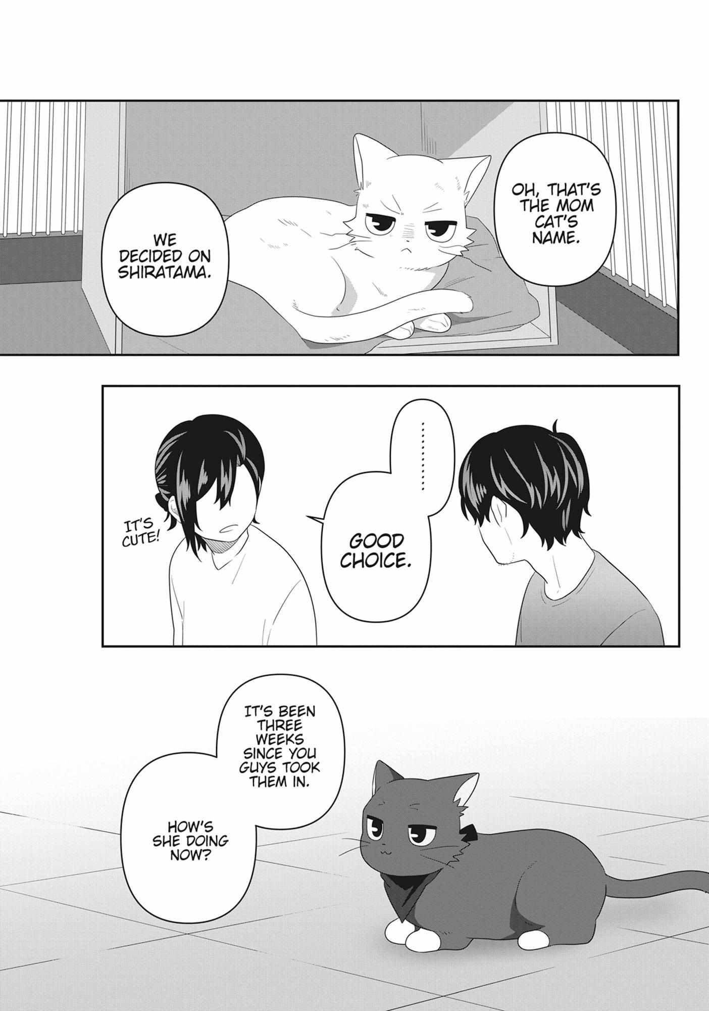 Read My Kitten is a Picky Eater chapter 61 image 8 on Lezhin