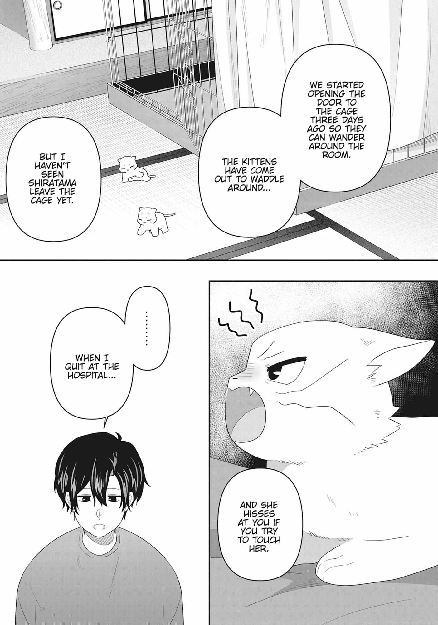 Read My Kitten is a Picky Eater chapter 61 image 9 on Lezhin