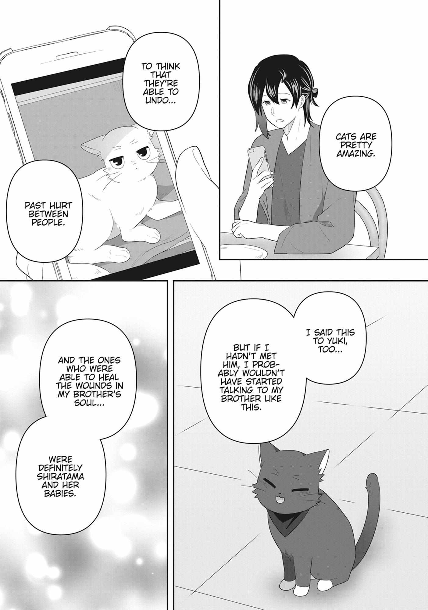 Read My Kitten is a Picky Eater chapter 63 image 8 on Lezhin