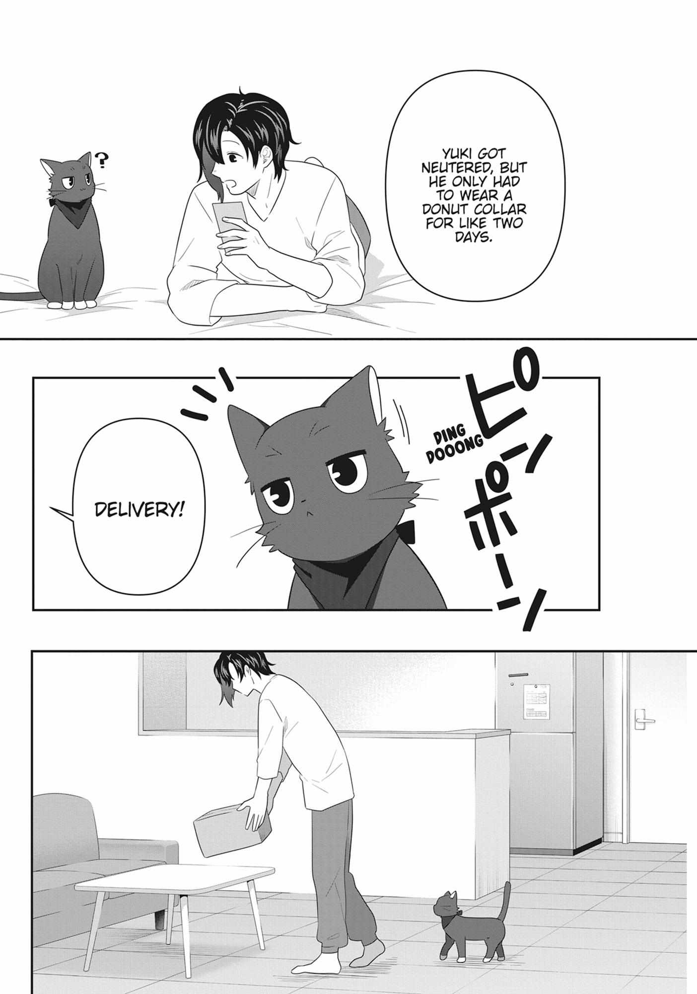 Read My Kitten is a Picky Eater chapter 65 image 4 on Lezhin