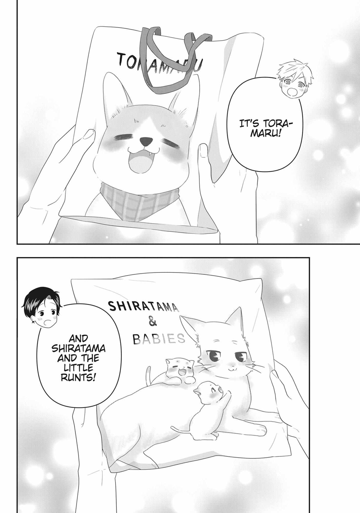 Read My Kitten is a Picky Eater chapter 66 image 5 on Lezhin