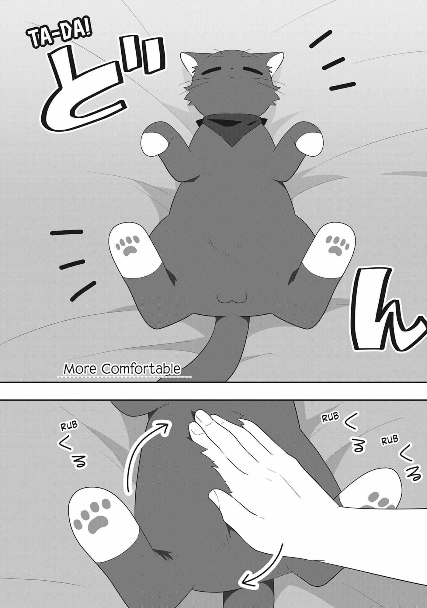 Read My Kitten is a Picky Eater chapter 69 image 1 on Lezhin