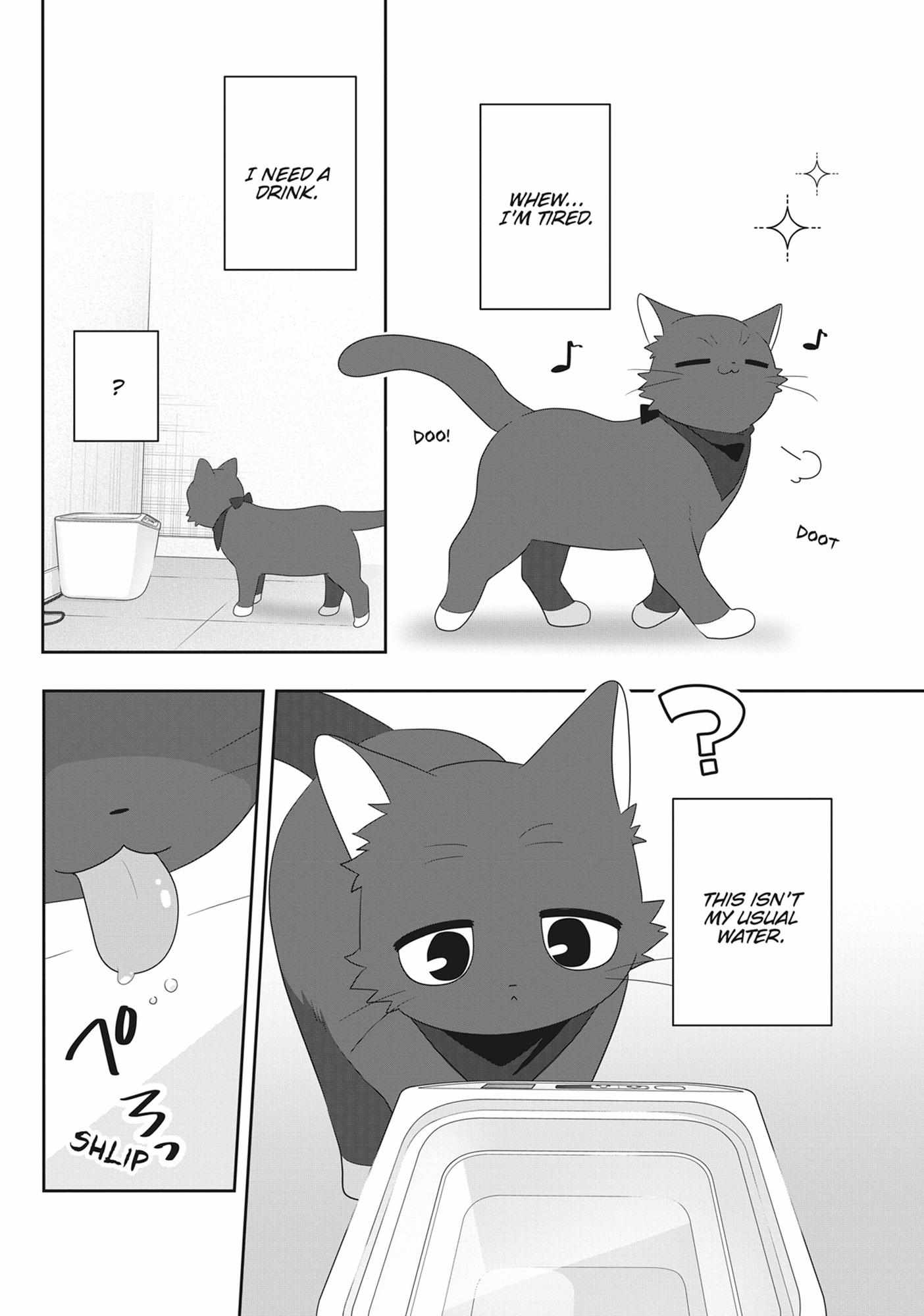 Read My Kitten is a Picky Eater chapter 69 image 8 on Lezhin
