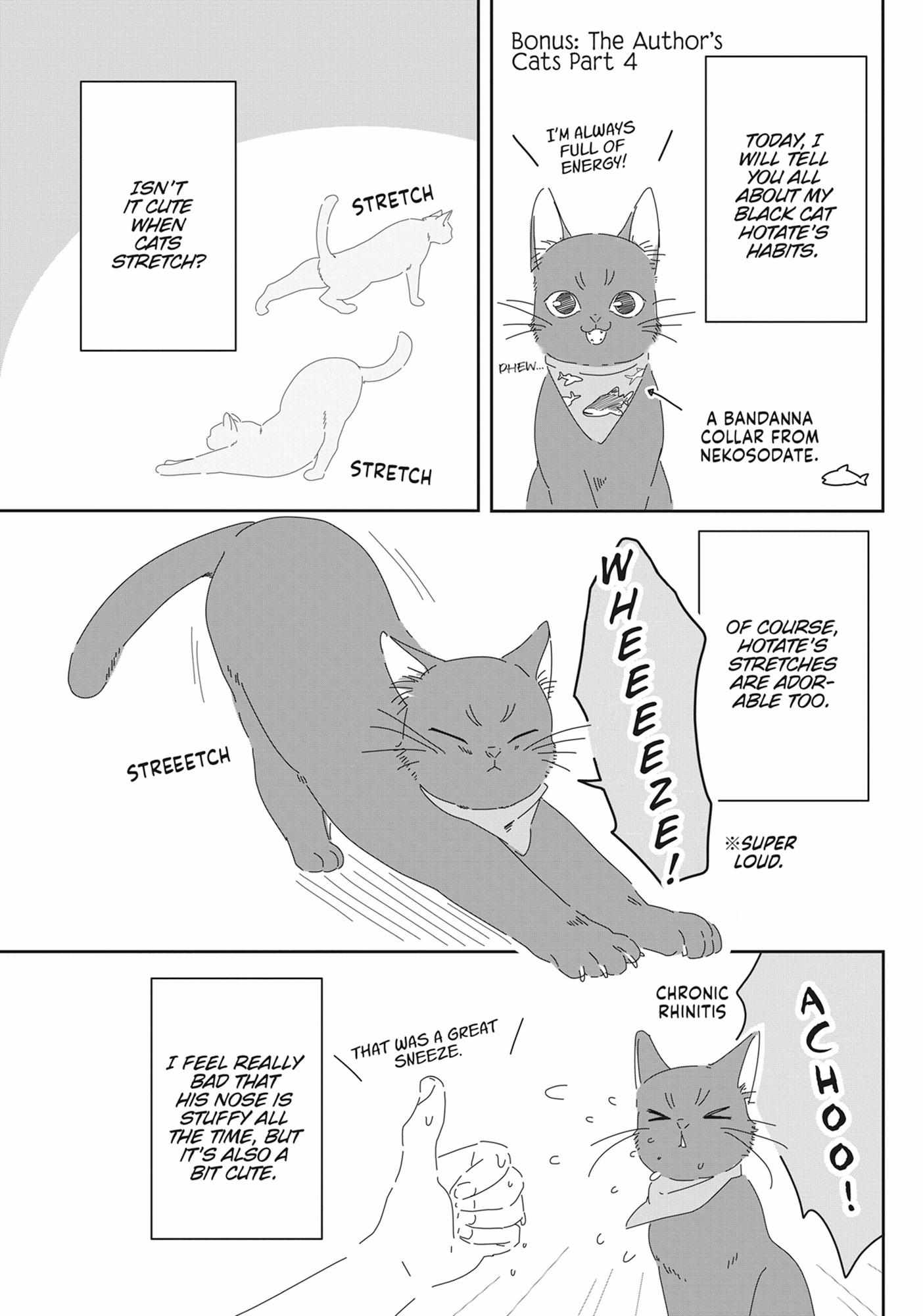Read My Kitten is a Picky Eater chapter 71.5 image 1 on Lezhin