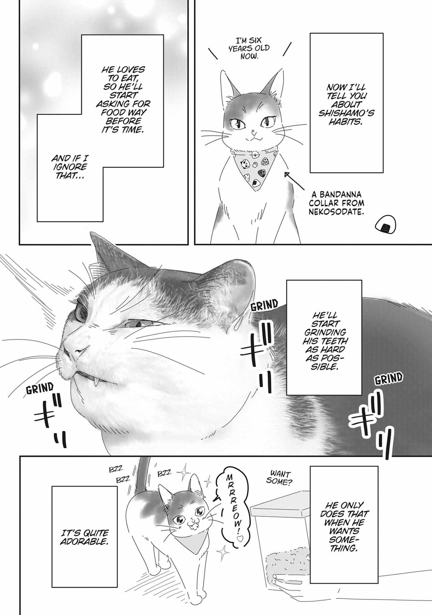 Read My Kitten is a Picky Eater chapter 71.5 image 2 on Lezhin