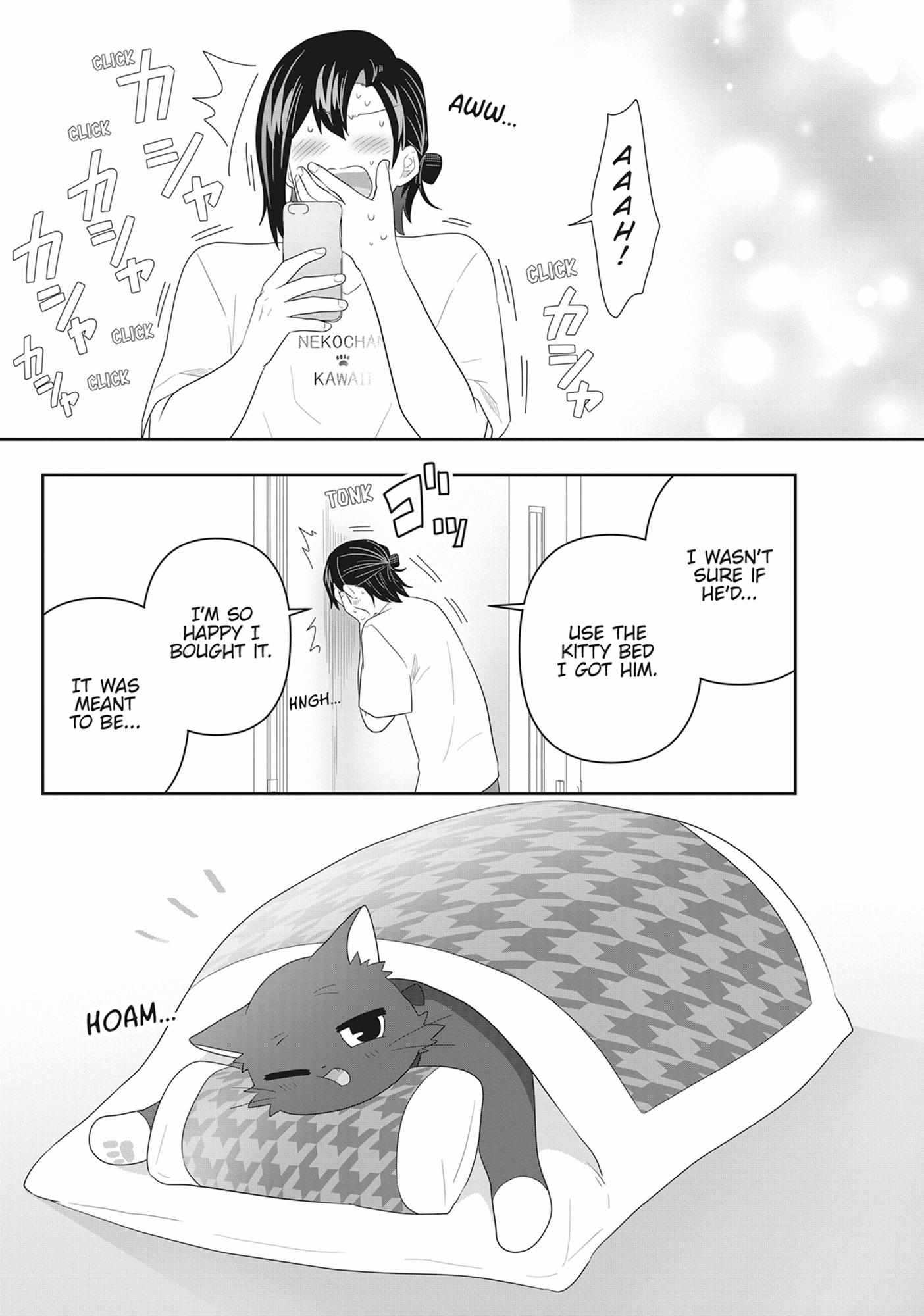 Read My Kitten is a Picky Eater chapter 71 image 9 on Lezhin