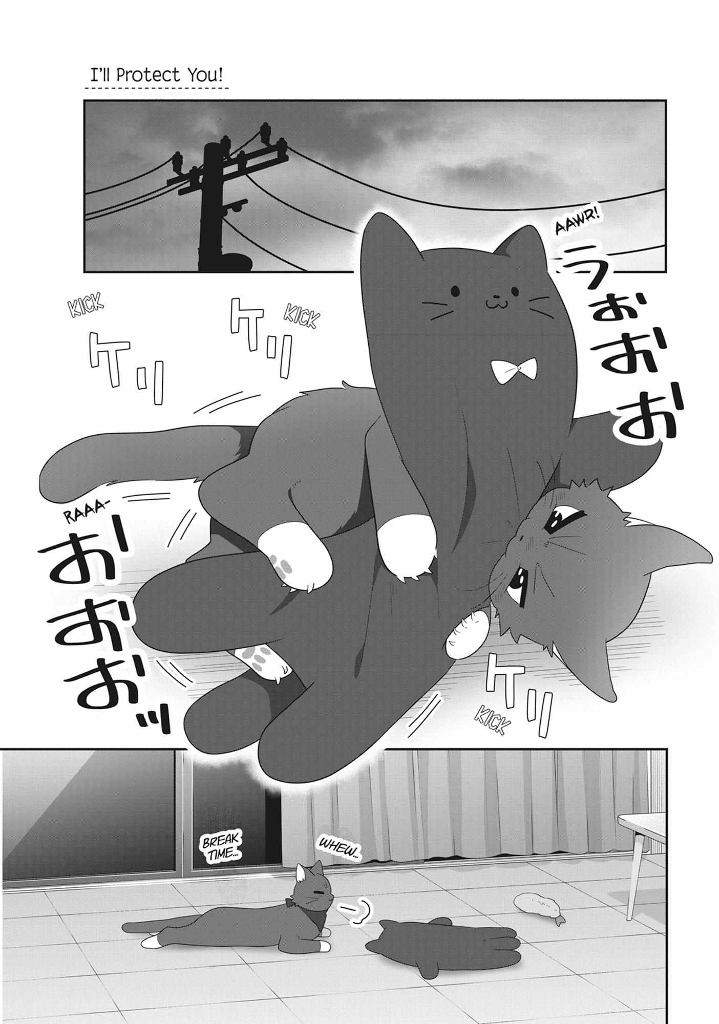Read My Kitten is a Picky Eater chapter 72 image 5 on Lezhin