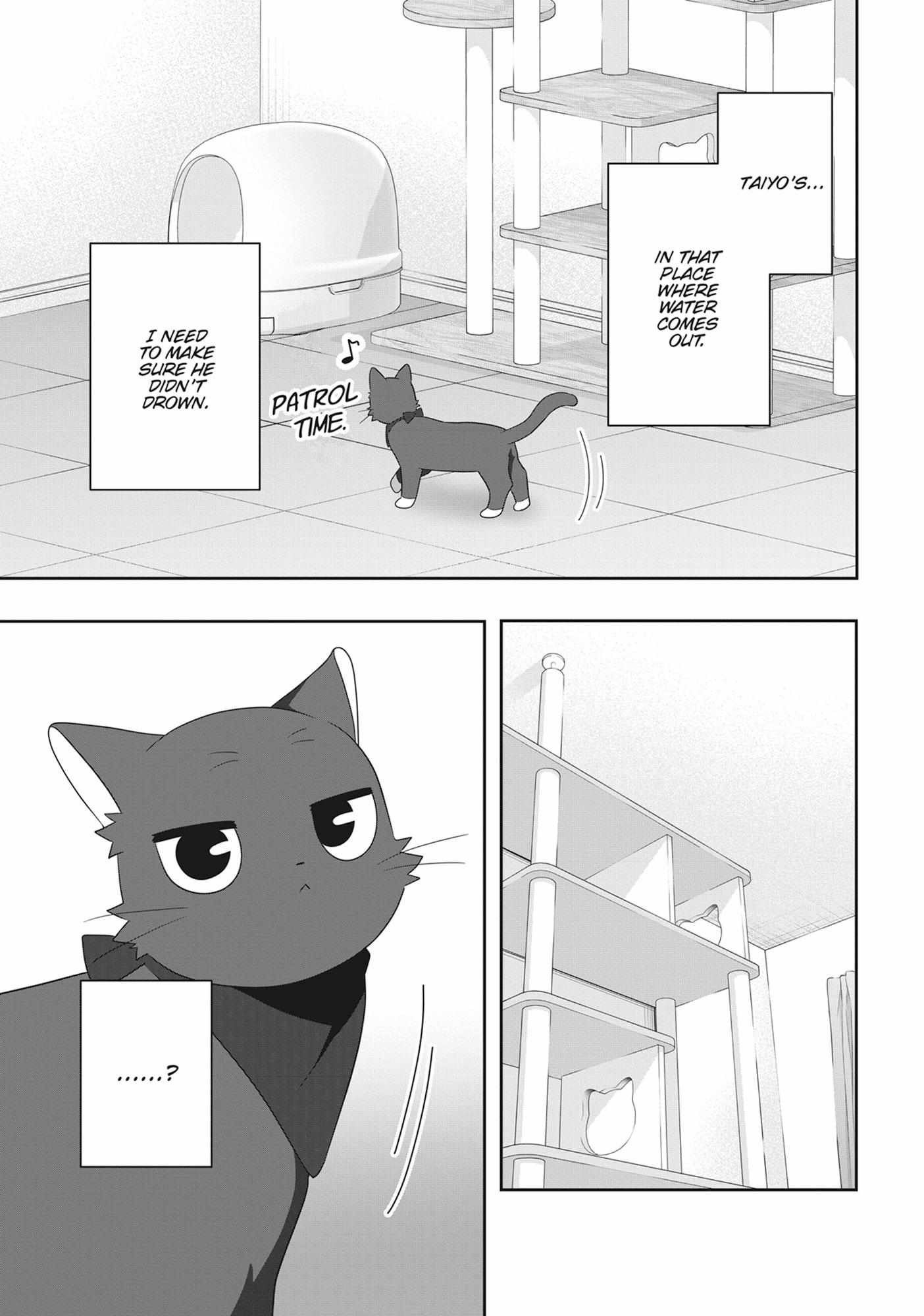Read My Kitten is a Picky Eater chapter 72 image 7 on Lezhin