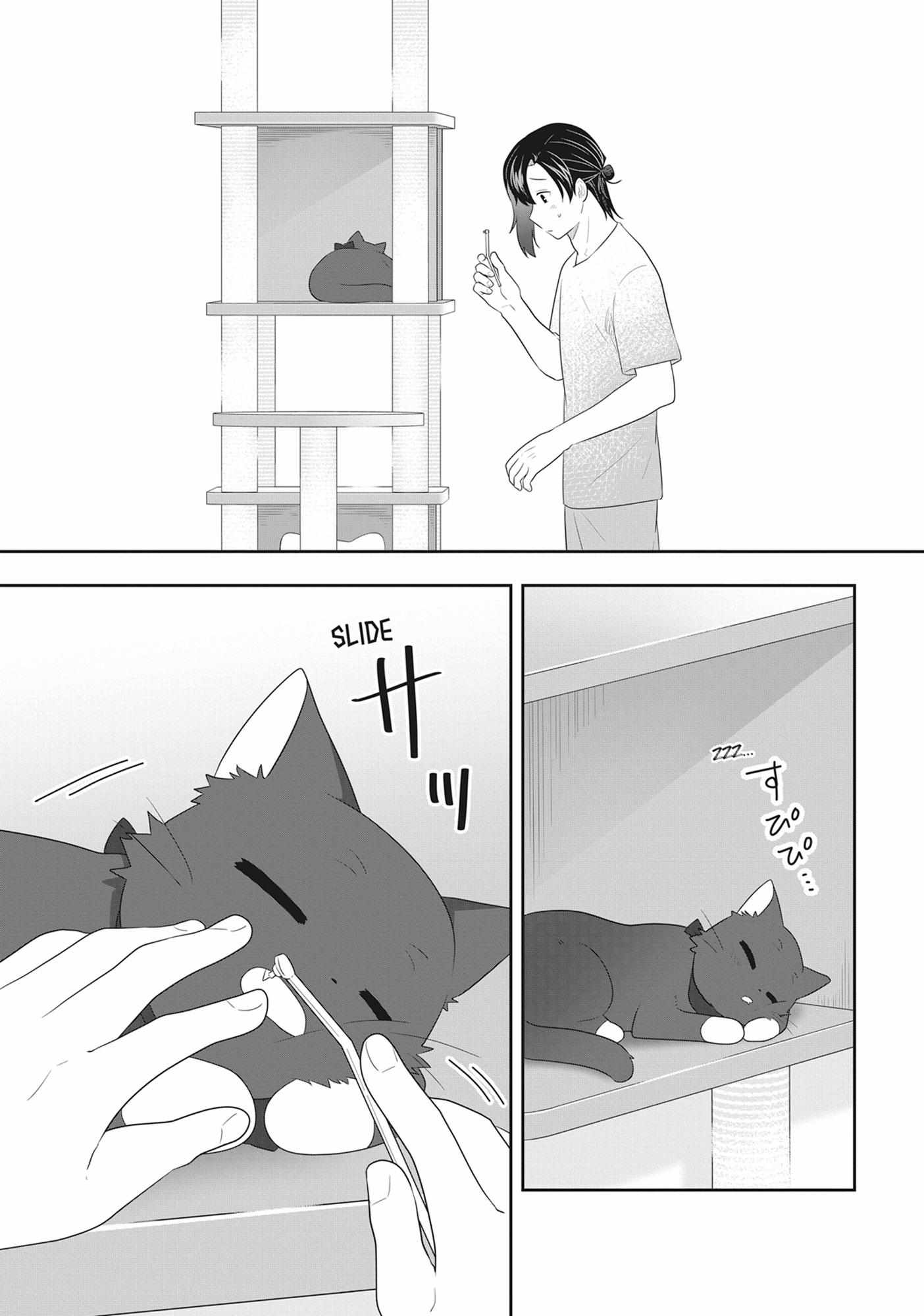 Read My Kitten is a Picky Eater chapter 75 image 11 on Lezhin