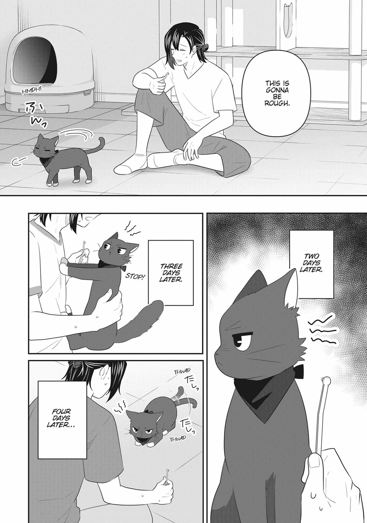 Read My Kitten is a Picky Eater chapter 75 image 8 on Lezhin