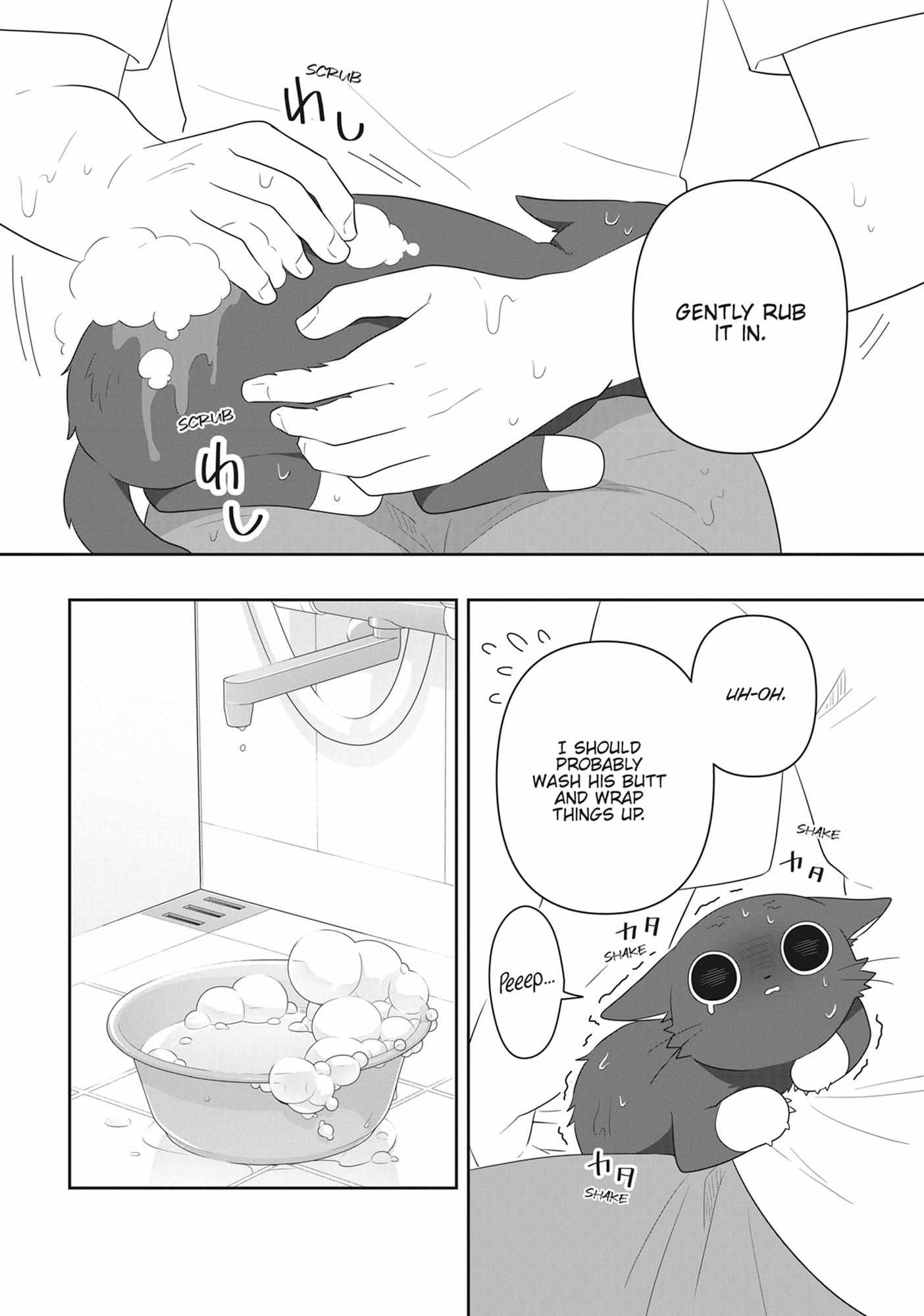 My Kitten is a Picky Eater Chapter 76 page 10 - 