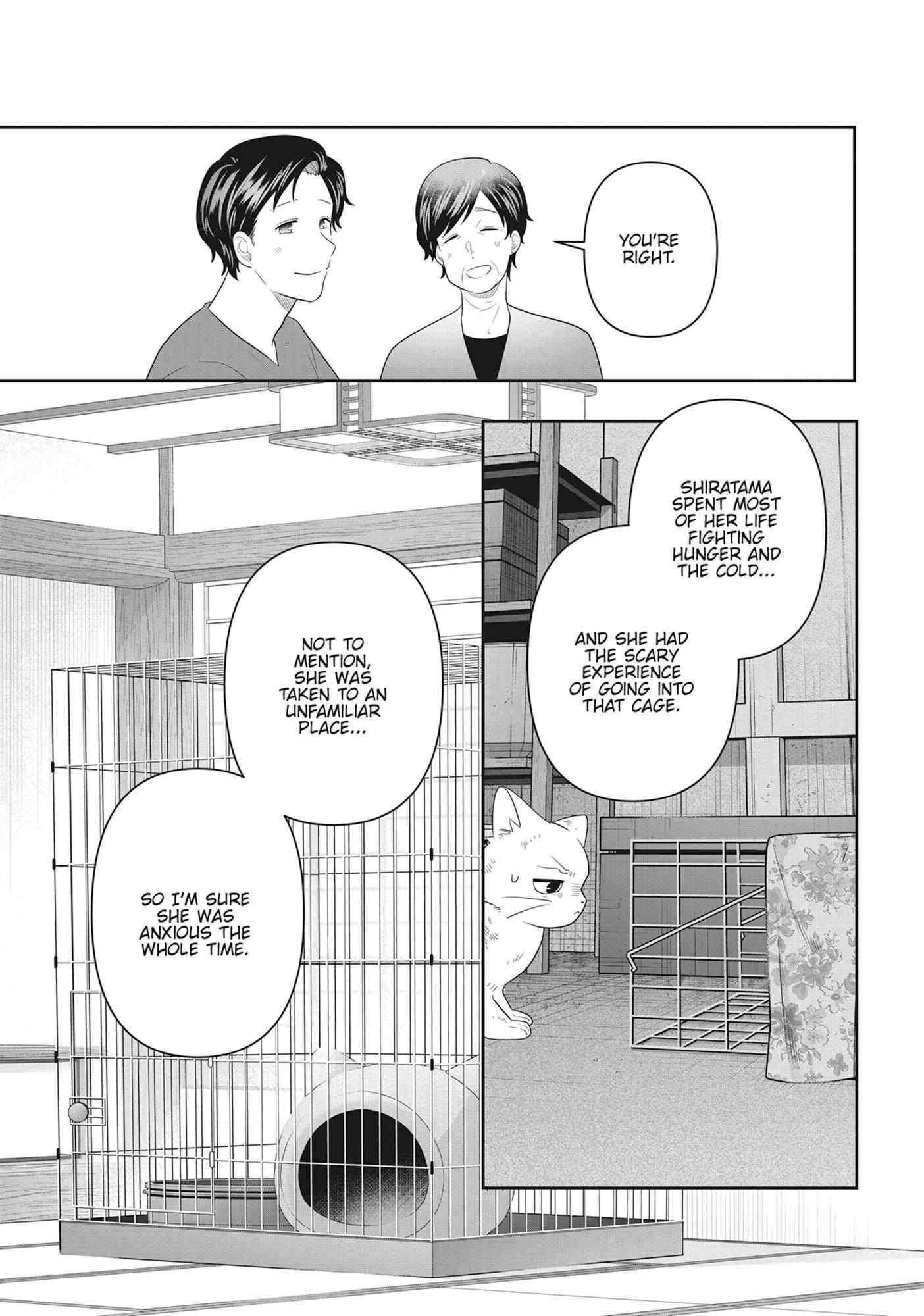 Read My Kitten is a Picky Eater chapter 77 image 11 on Lezhin