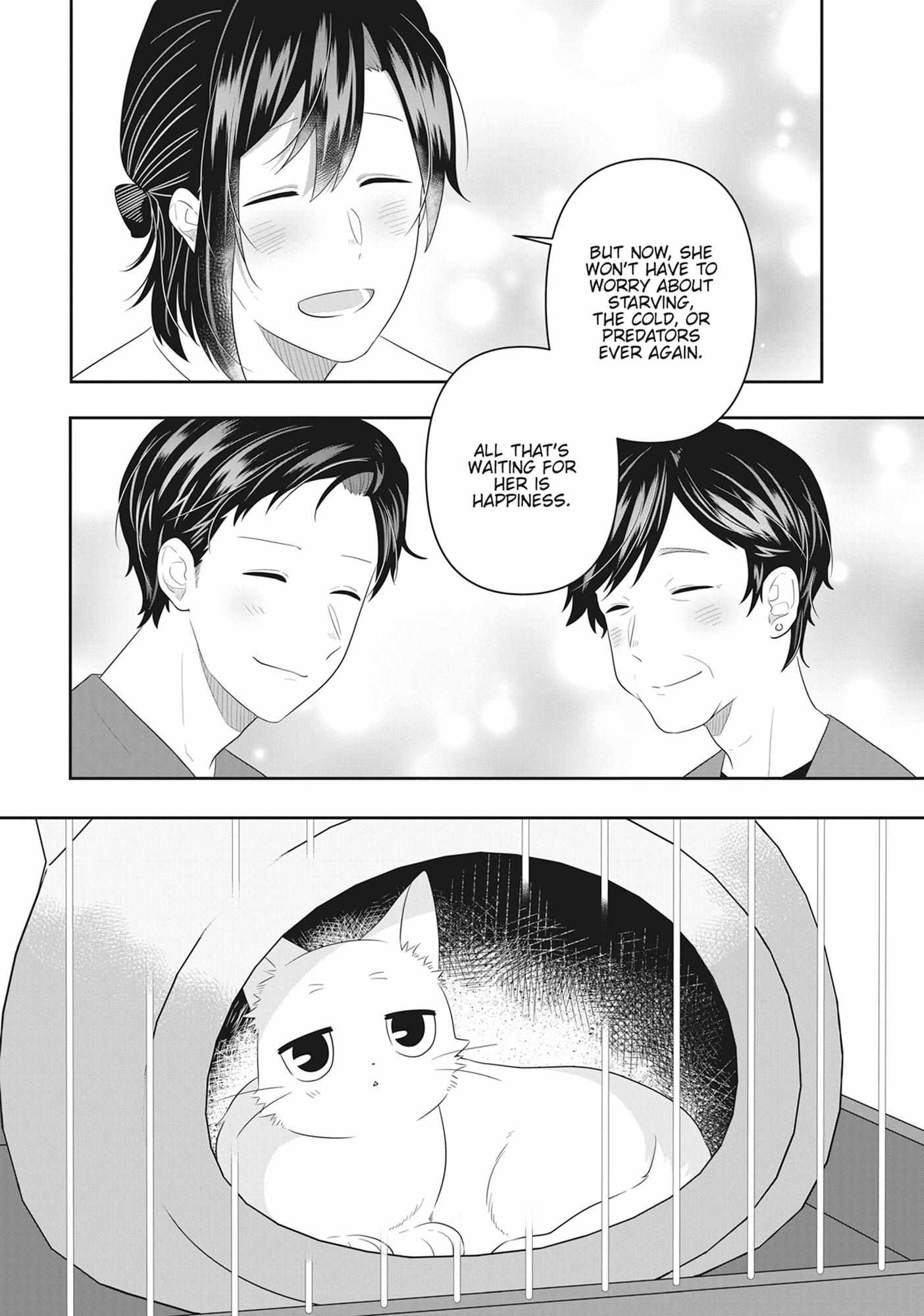 Read My Kitten is a Picky Eater chapter 77 image 12 on Lezhin