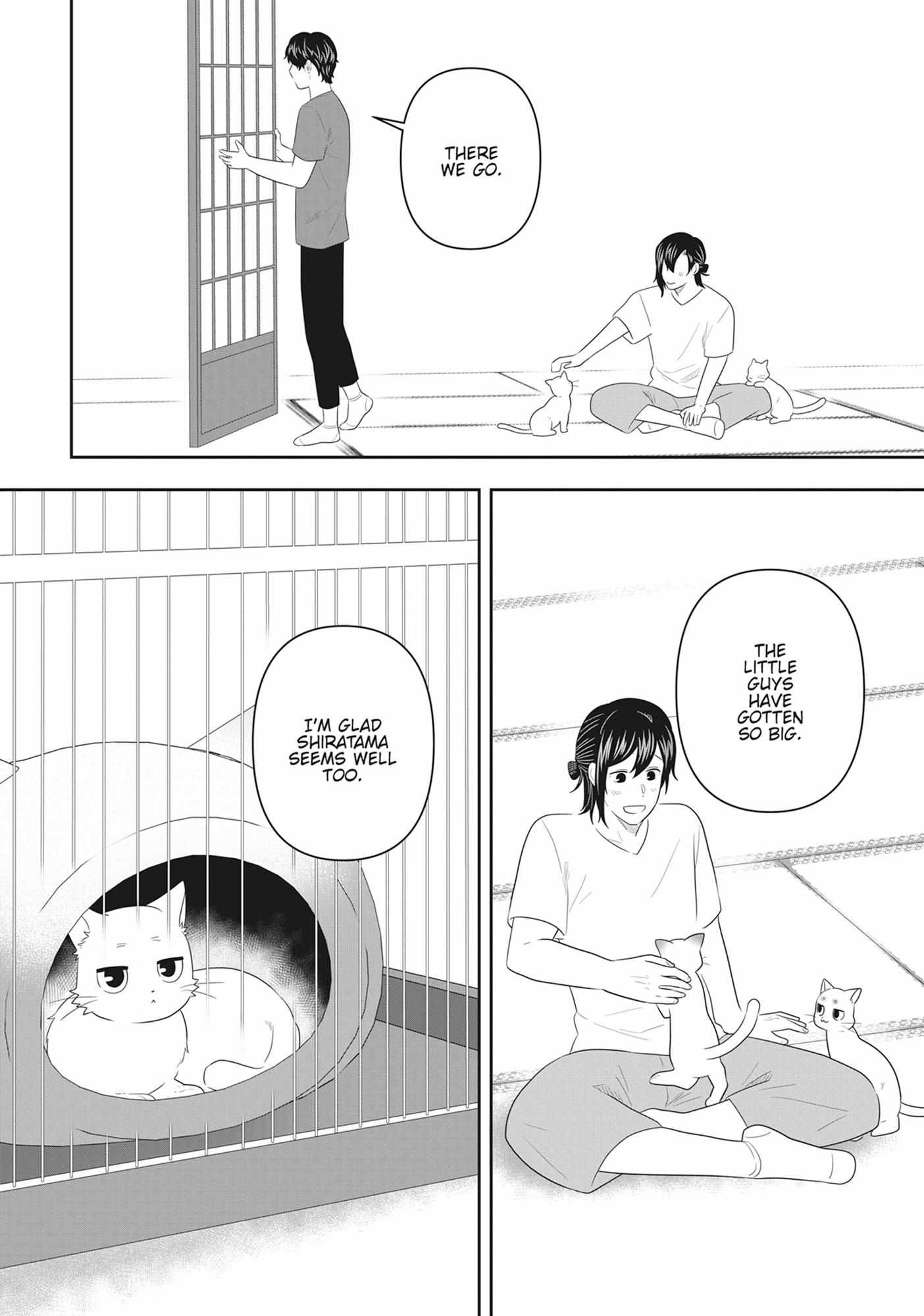 Read My Kitten is a Picky Eater chapter 77 image 8 on Lezhin