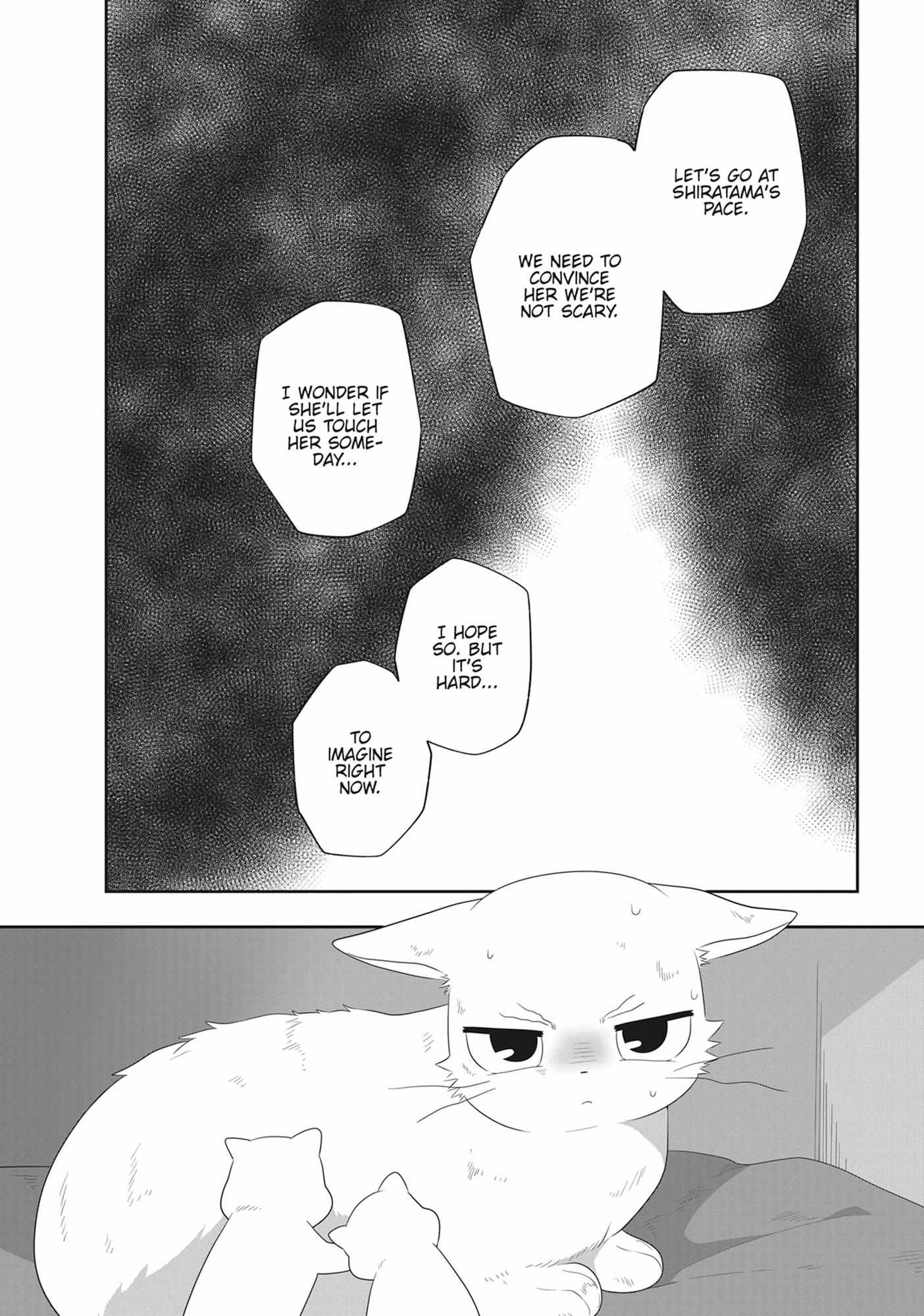 Read My Kitten is a Picky Eater chapter 78 image 2 on Lezhin