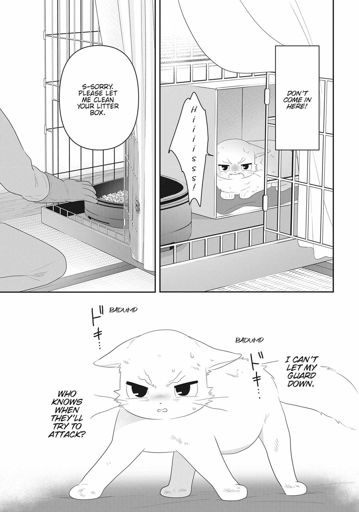 Read My Kitten is a Picky Eater chapter 78 image 4 on Lezhin