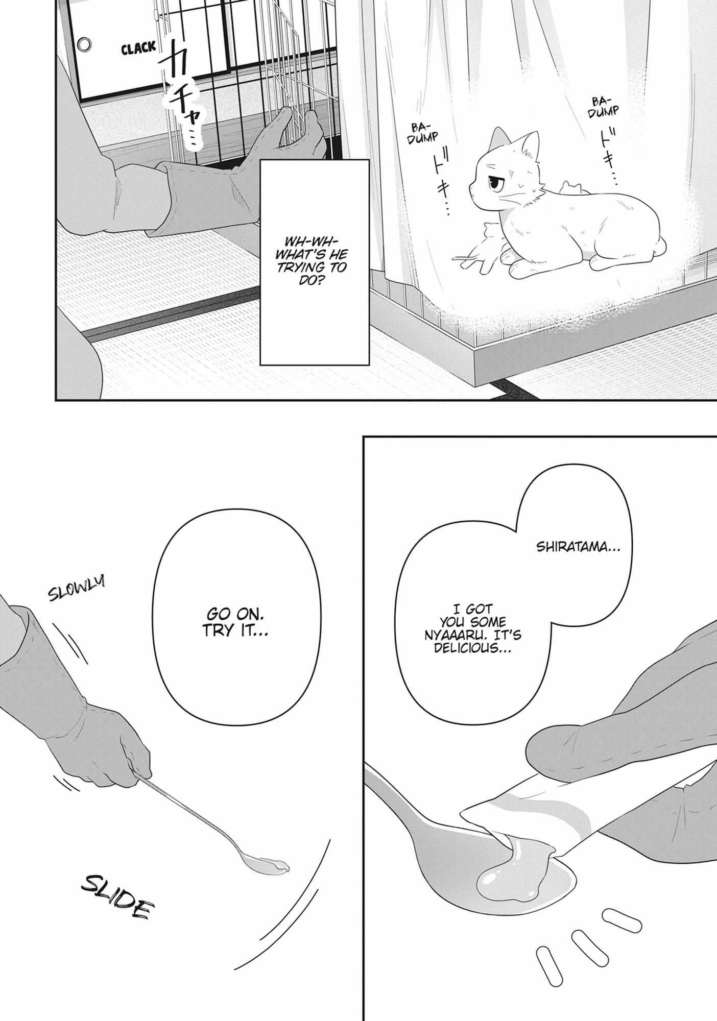 Read My Kitten is a Picky Eater chapter 78 image 7 on Lezhin