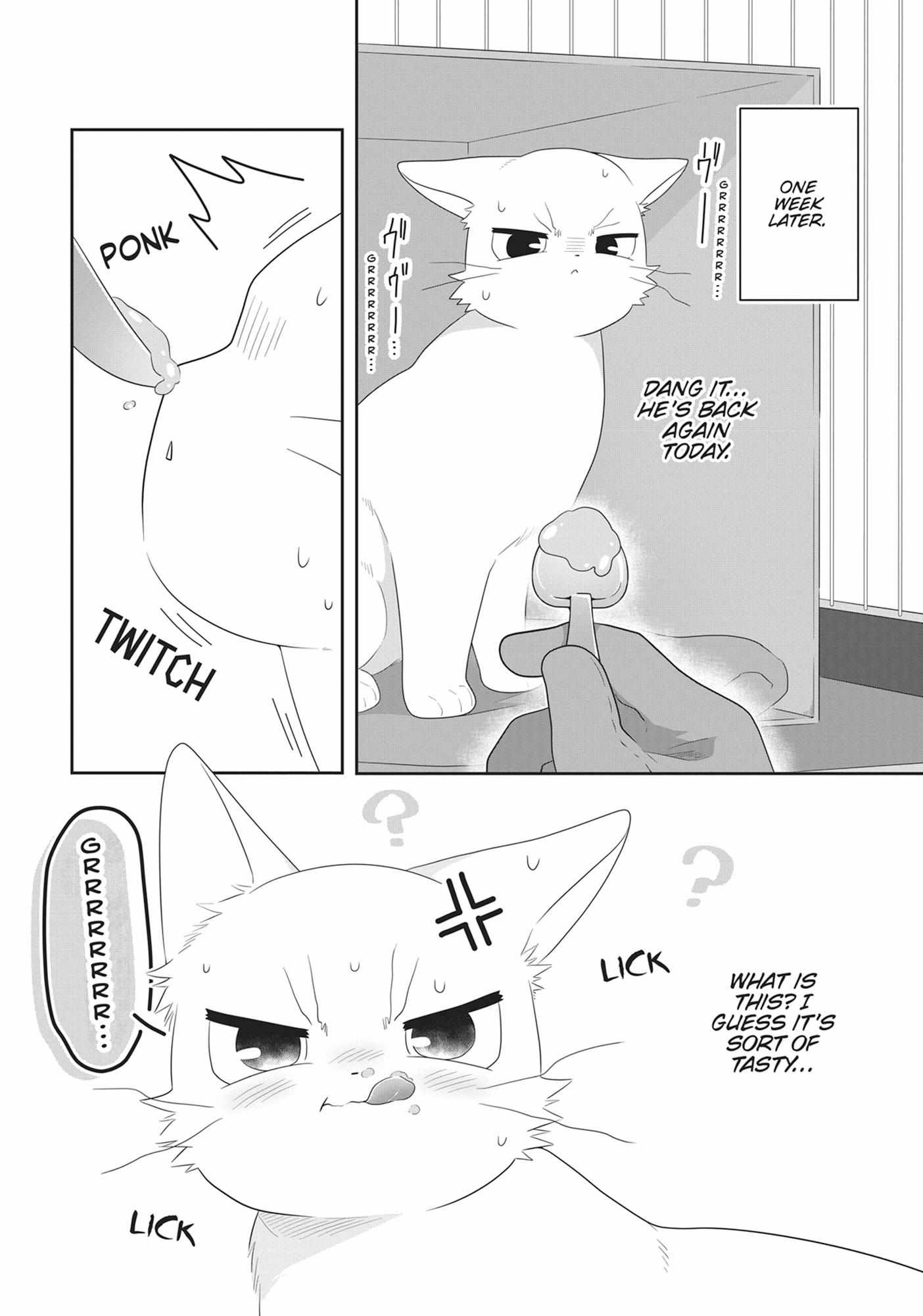 Read My Kitten is a Picky Eater chapter 78 image 9 on Lezhin