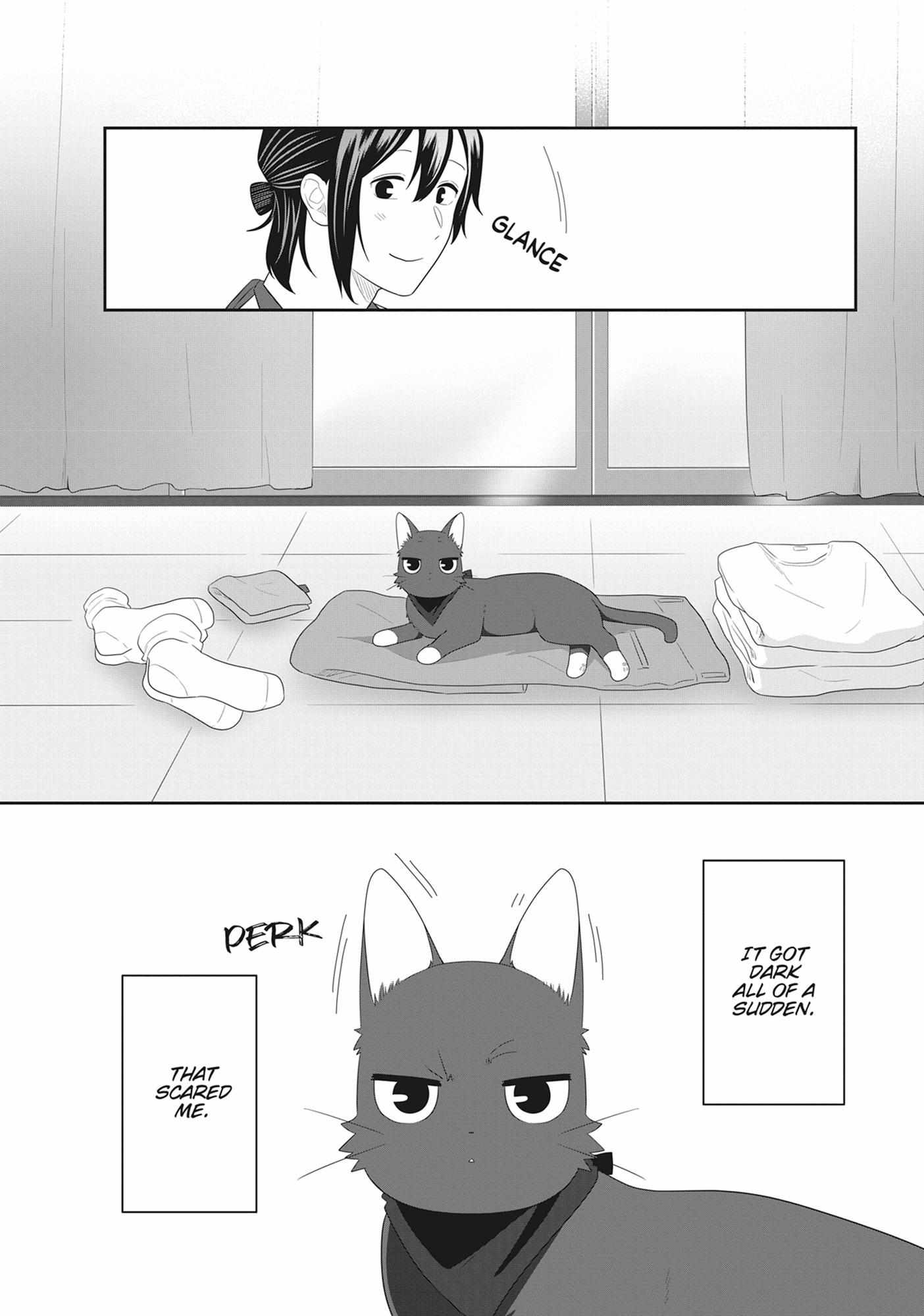 Read My Kitten is a Picky Eater chapter 80 image 2 on Lezhin