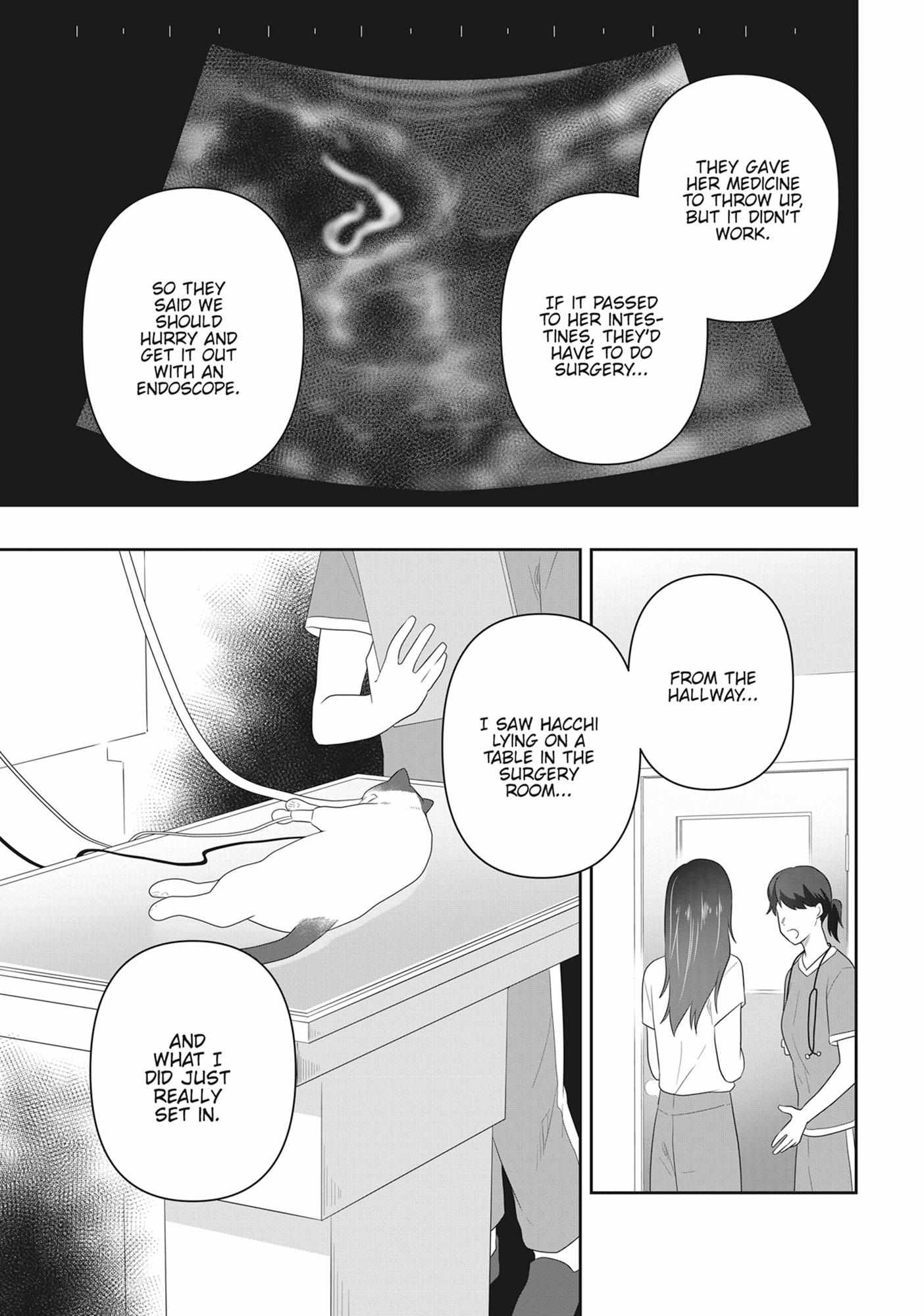 Read My Kitten is a Picky Eater chapter 82 image 3 on Lezhin