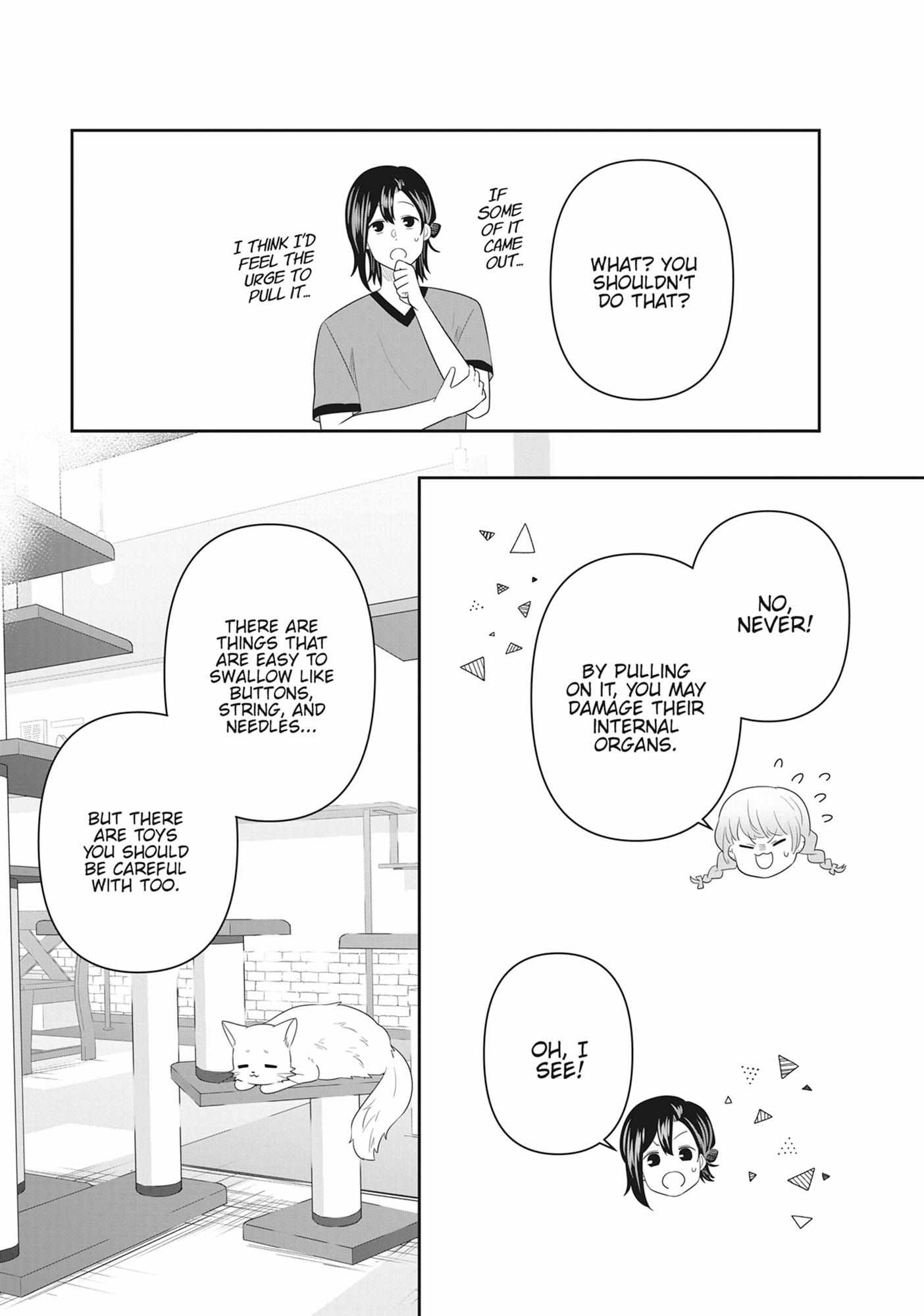 Read My Kitten is a Picky Eater chapter 83 image 3 on Lezhin