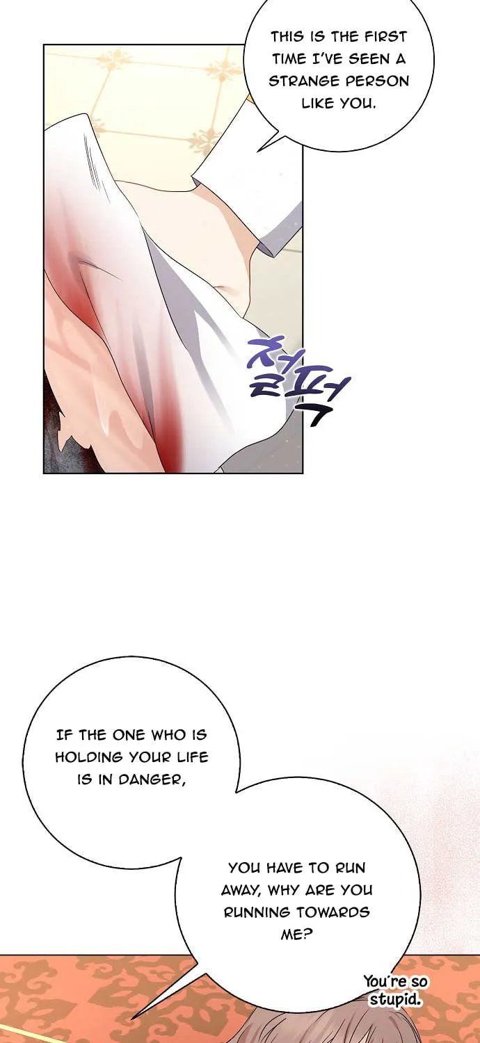 Read My Little Tyrant chapter 9 image 20 on Lezhin