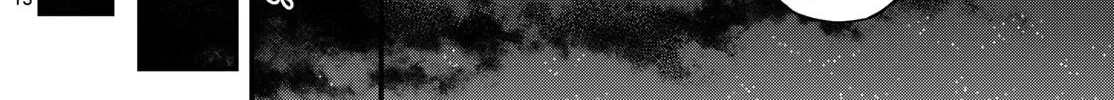 Read My Lord Shall Fall chapter 4 image 29 on Lezhin