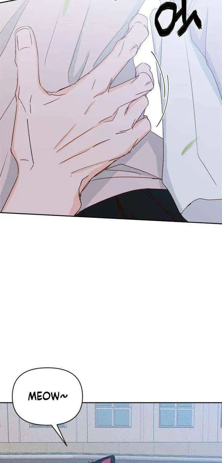Read My Love Interferer chapter 17 image 61 on Lezhin