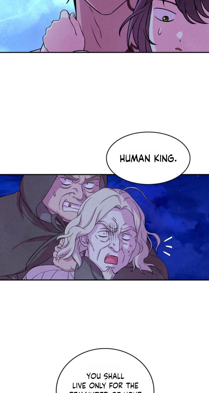Read My Master Doesn