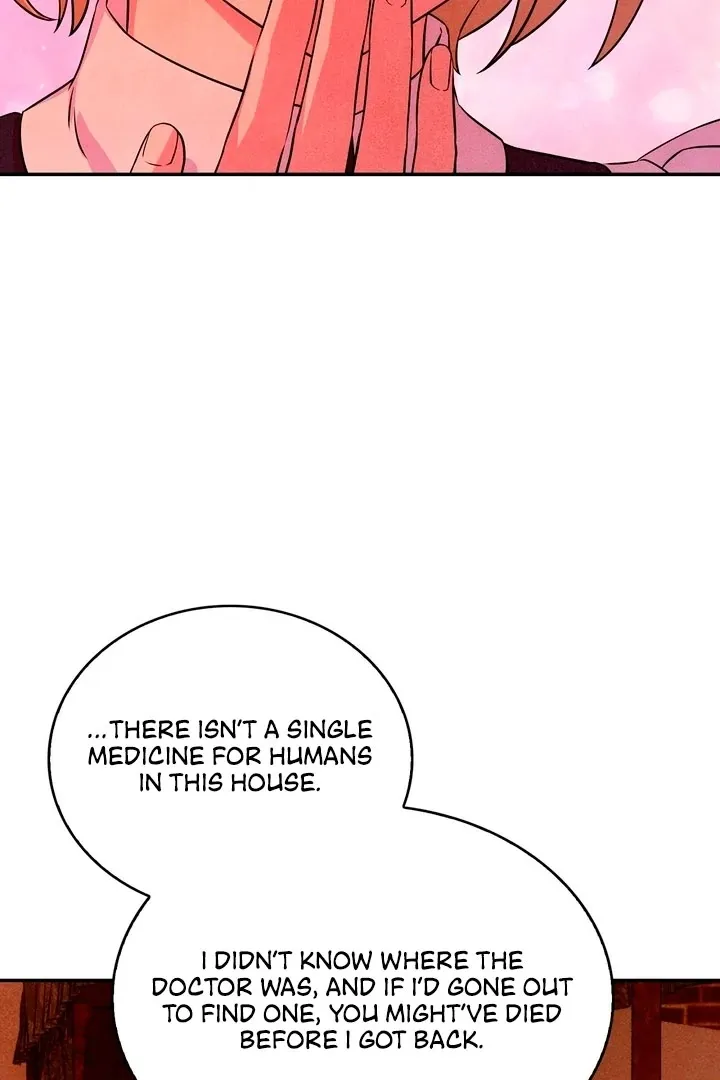 Read My Master Doesn’t Bite People chapter 12 image 33 on Lezhin