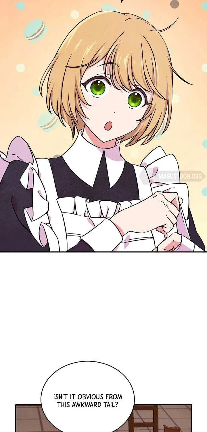 Read My Master Doesn’t Bite People chapter 3 image 2 on Lezhin