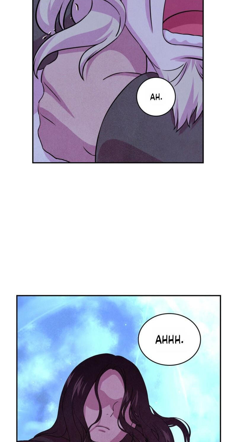 Read My Master Doesn’t Bite People chapter 46 image 3 on Lezhin