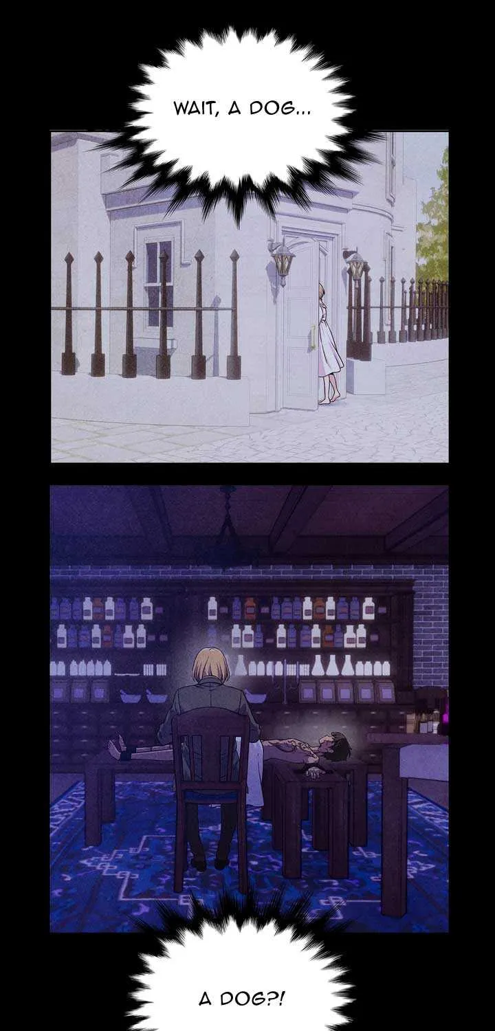Read My Master Doesn’t Bite People chapter 6 image 5 on Lezhin