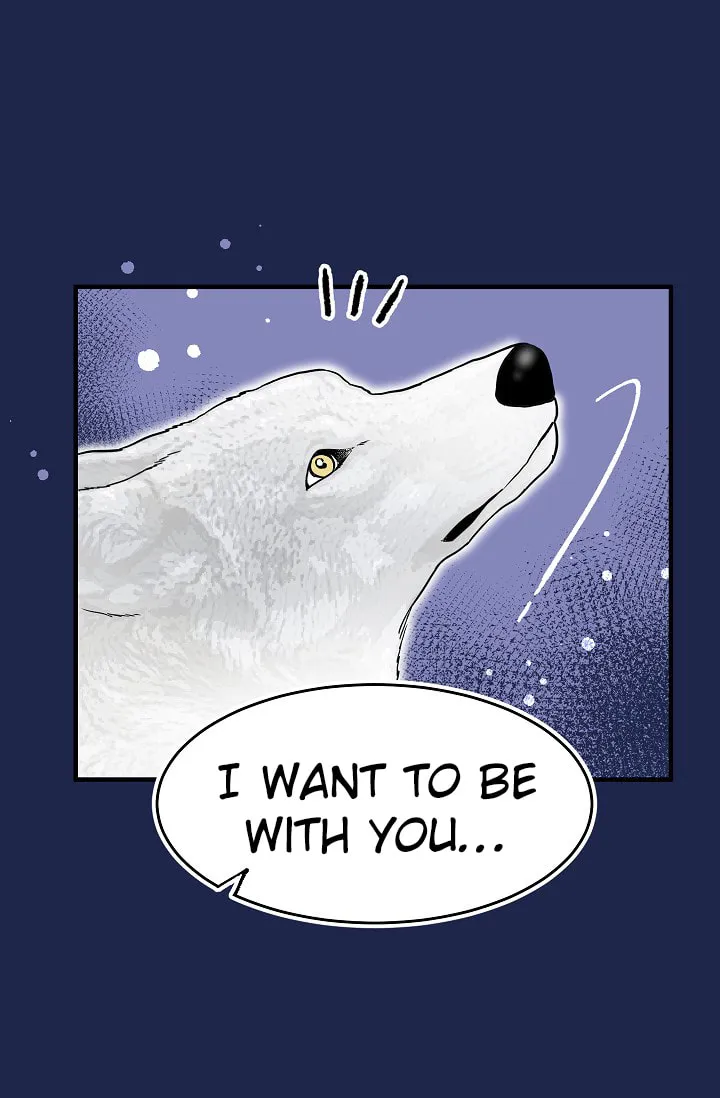 Read My Master, the Wolf Queen chapter 16 image 15 on Lezhin