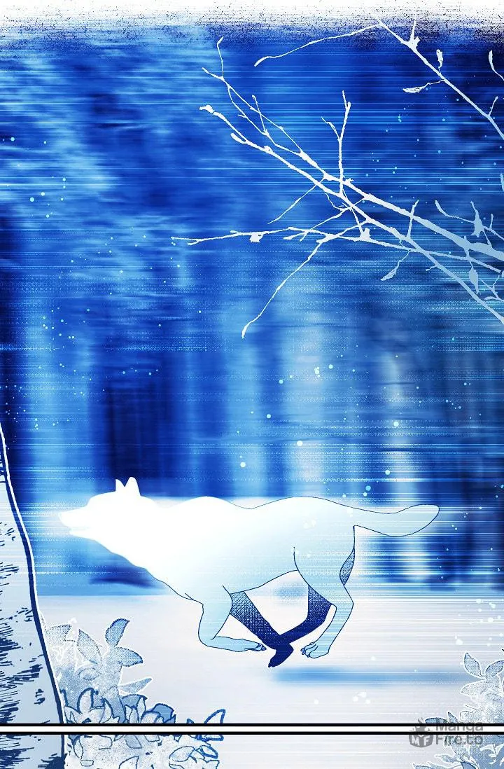 Read My Master, the Wolf Queen chapter 26 image 24 on Lezhin