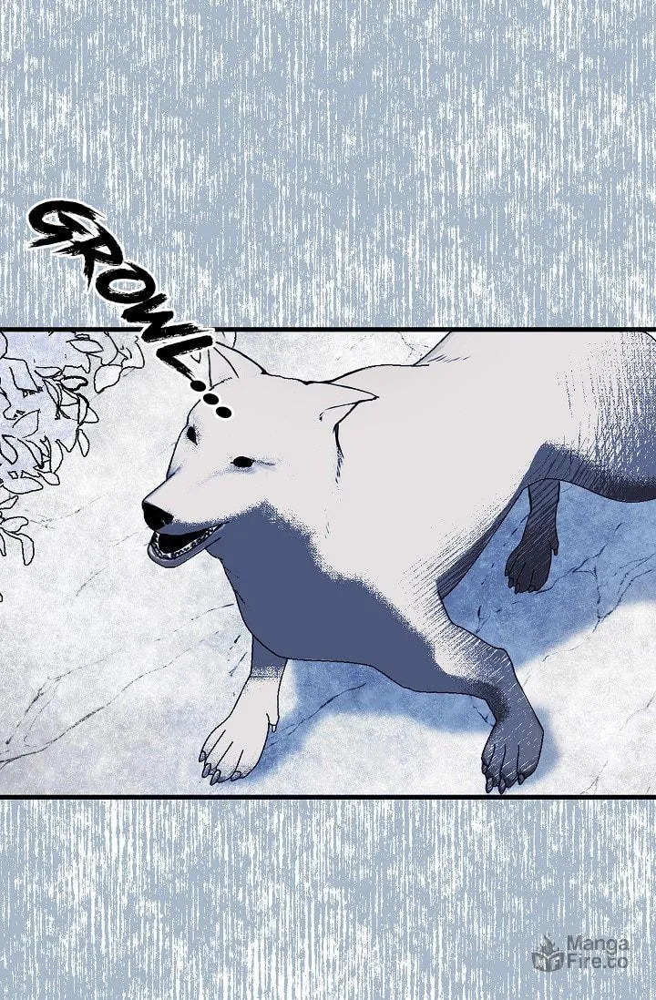 Read My Master, the Wolf Queen chapter 26 image 35 on Lezhin