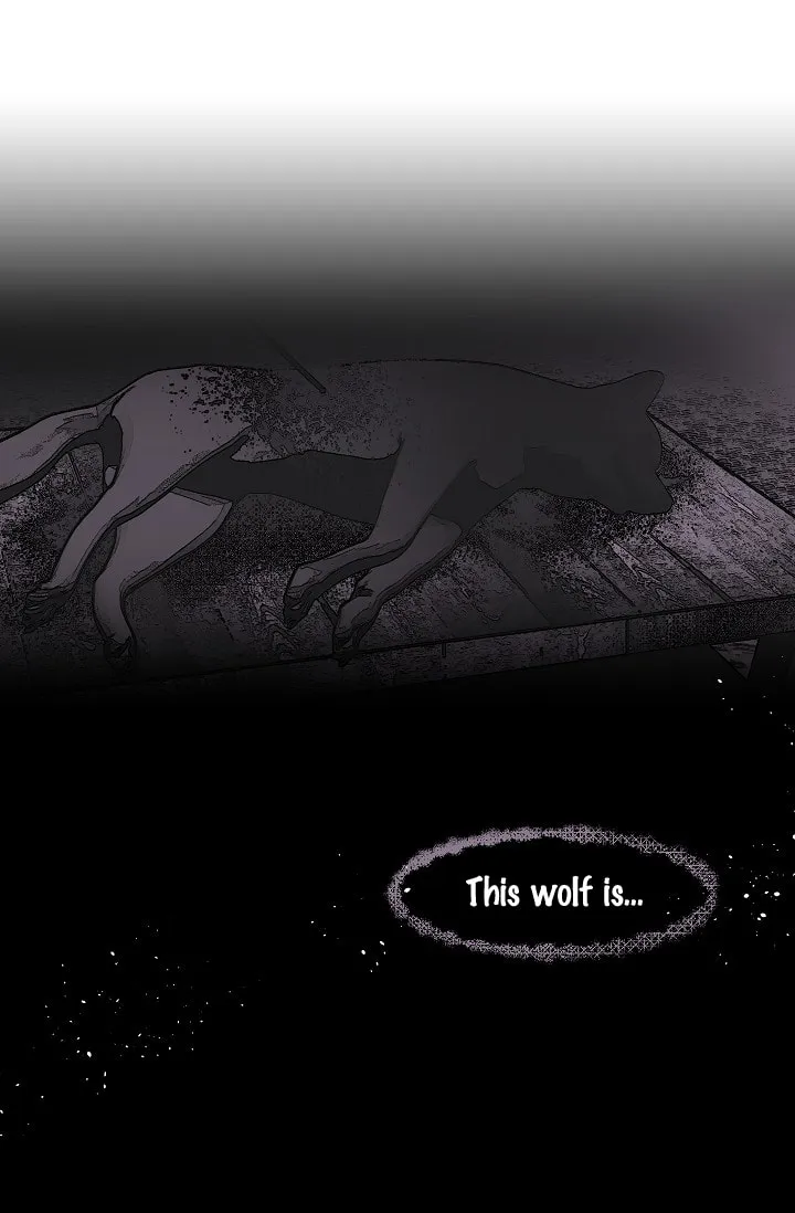 Read My Master, the Wolf Queen chapter 29 image 37 on Lezhin