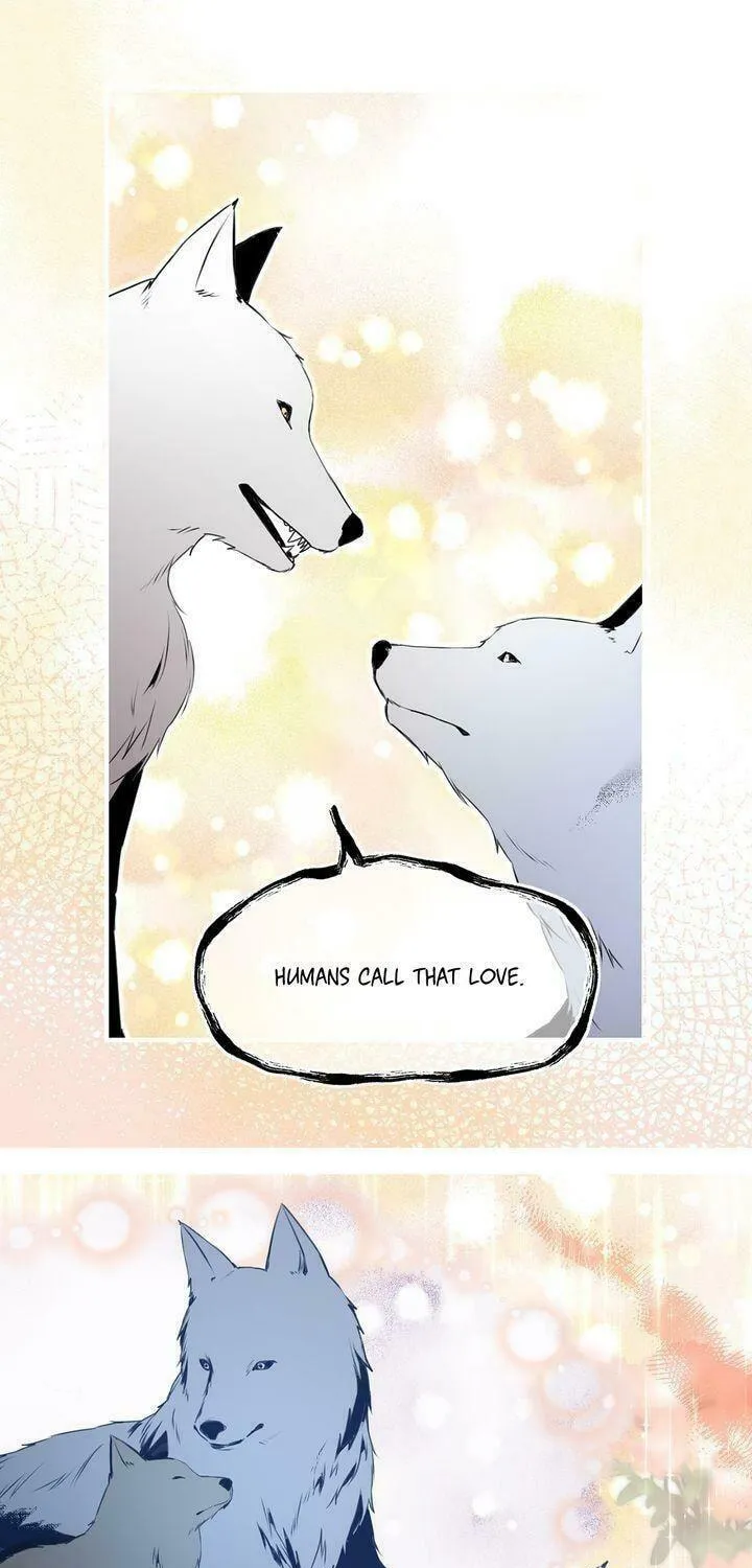 Read My Master, the Wolf Queen chapter 57 image 16 on Lezhin