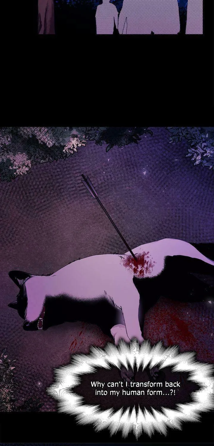 Read My Master, the Wolf Queen chapter 57 image 3 on Lezhin