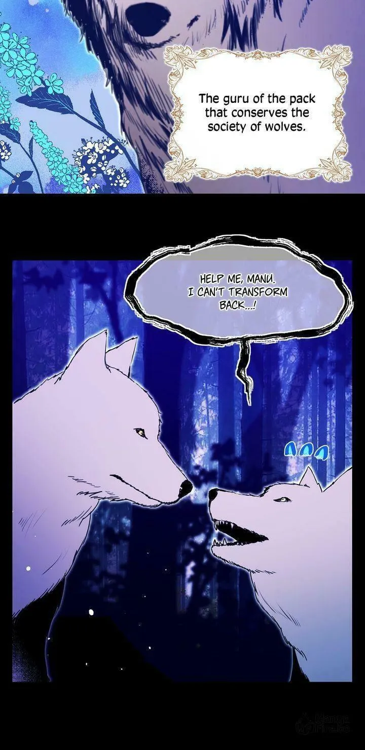 Read My Master, the Wolf Queen chapter 57 image 7 on Lezhin