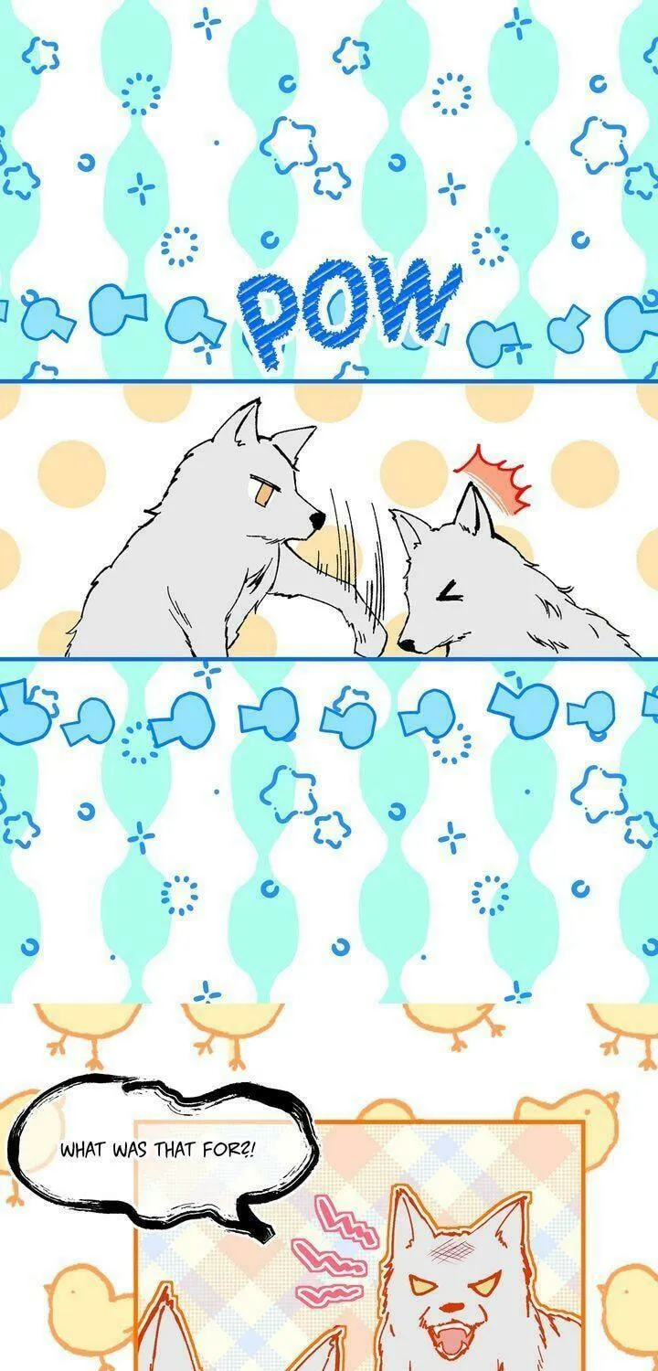 Read My Master, the Wolf Queen chapter 57 image 8 on Lezhin