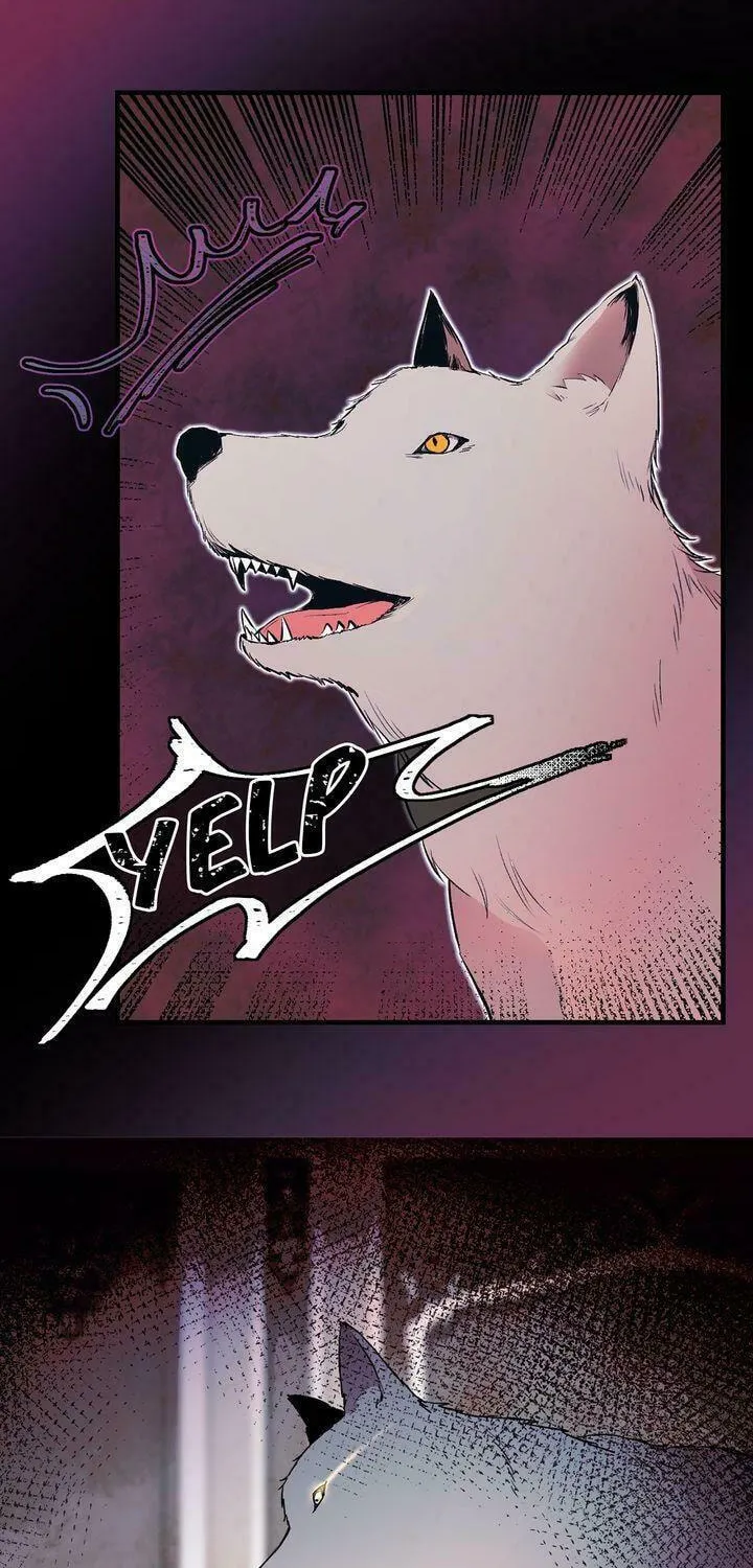 Read My Master, the Wolf Queen chapter 60 image 37 on Lezhin