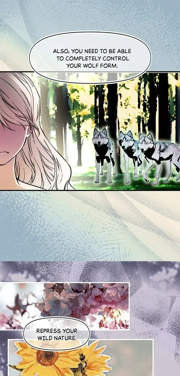 Read My Master, the Wolf Queen chapter 75 image 22 on Lezhin