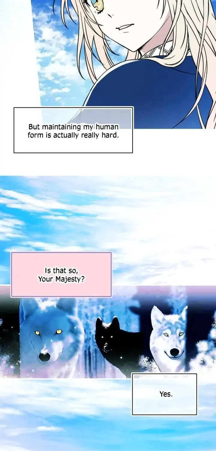 Read My Master, the Wolf Queen chapter 78 image 3 on Lezhin