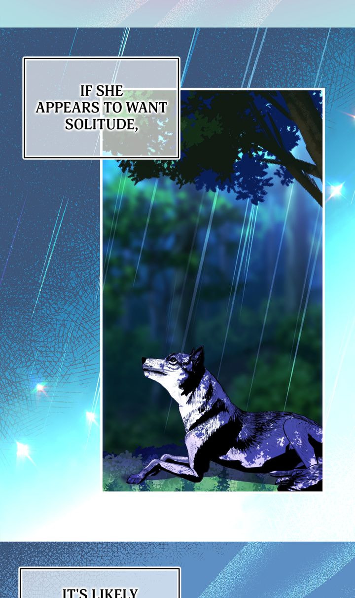 Read My Master, the Wolf Queen chapter 81 image 13 on Lezhin