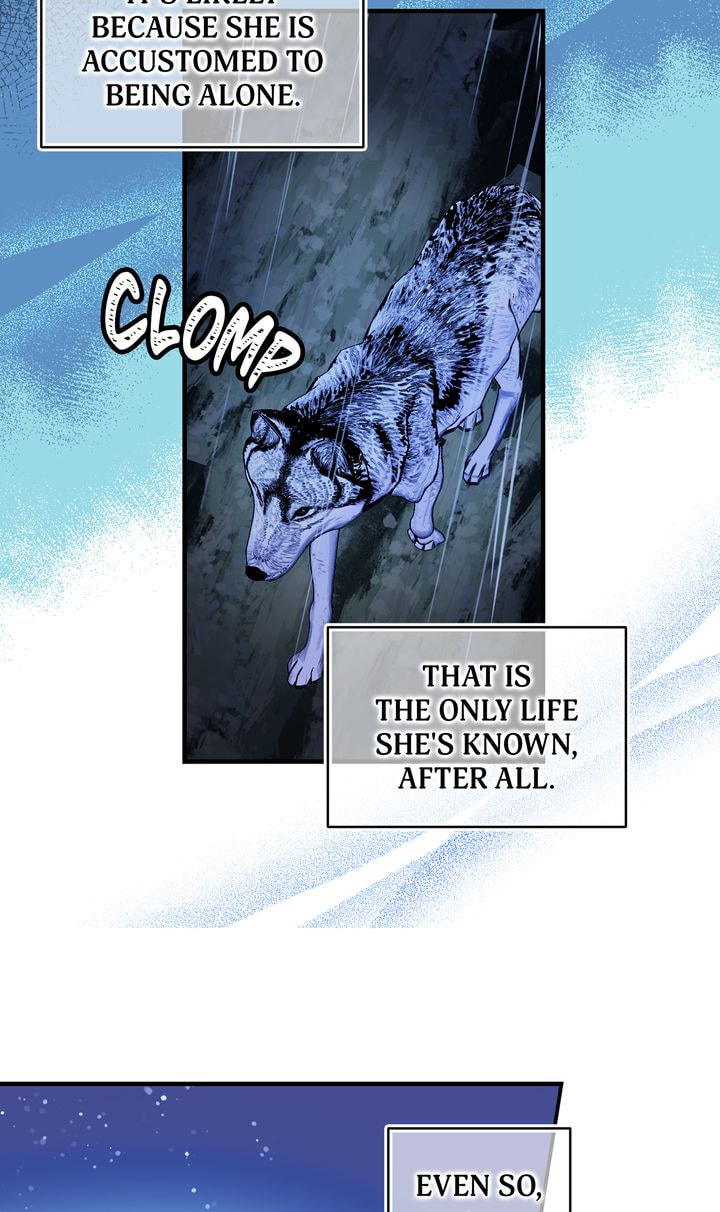 Read My Master, the Wolf Queen chapter 81 image 14 on Lezhin