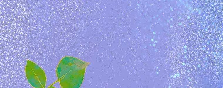 My Mother Gets Married Again Chapter 19 page 68 - 