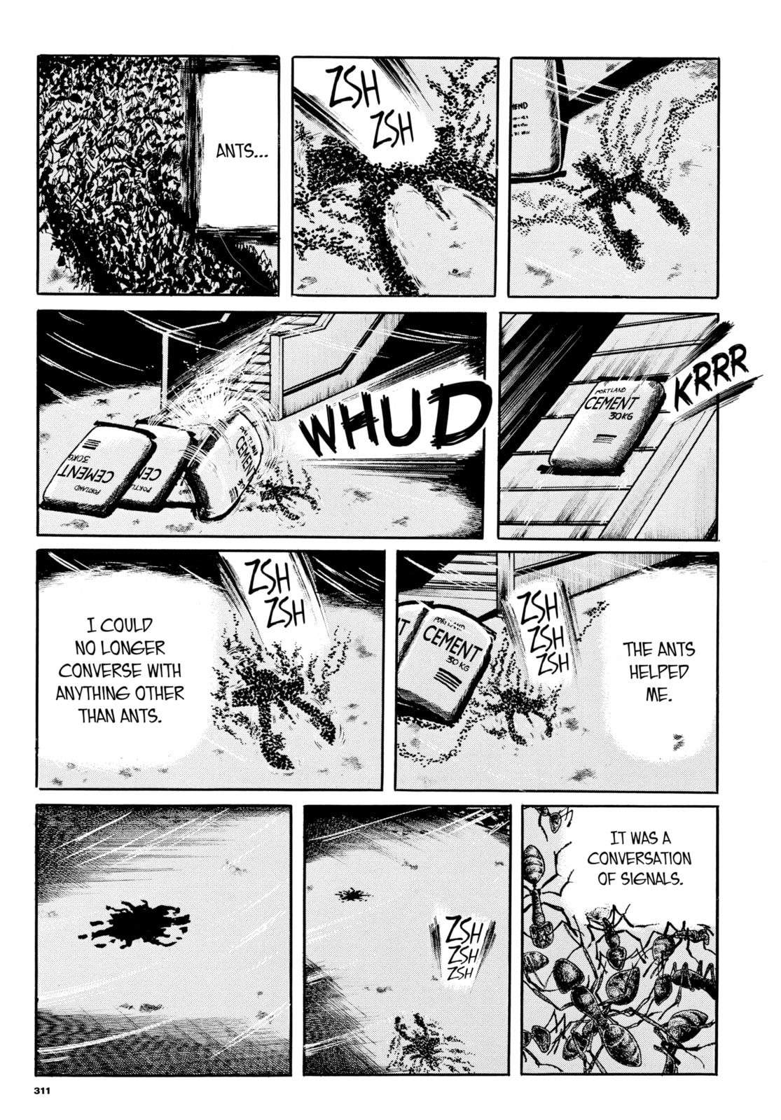 Read My Name is Shingo chapter 108 image 14 on Lezhin
