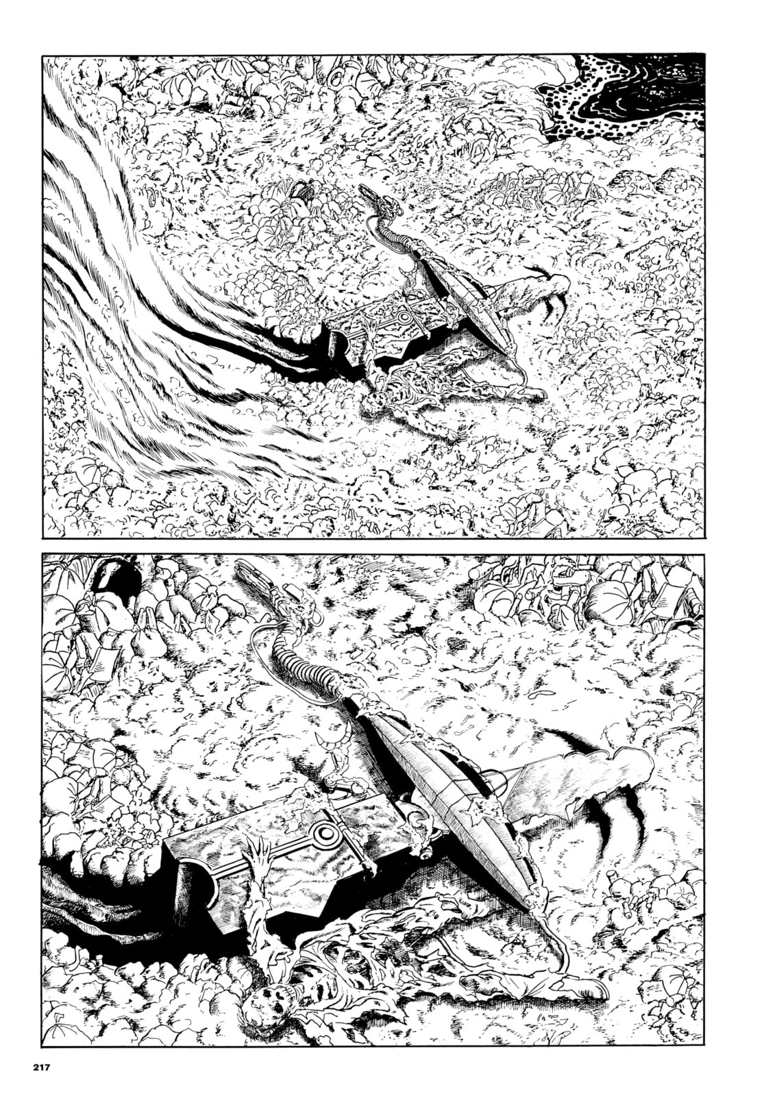 Read My Name is Shingo chapter 42 image 13 on Lezhin