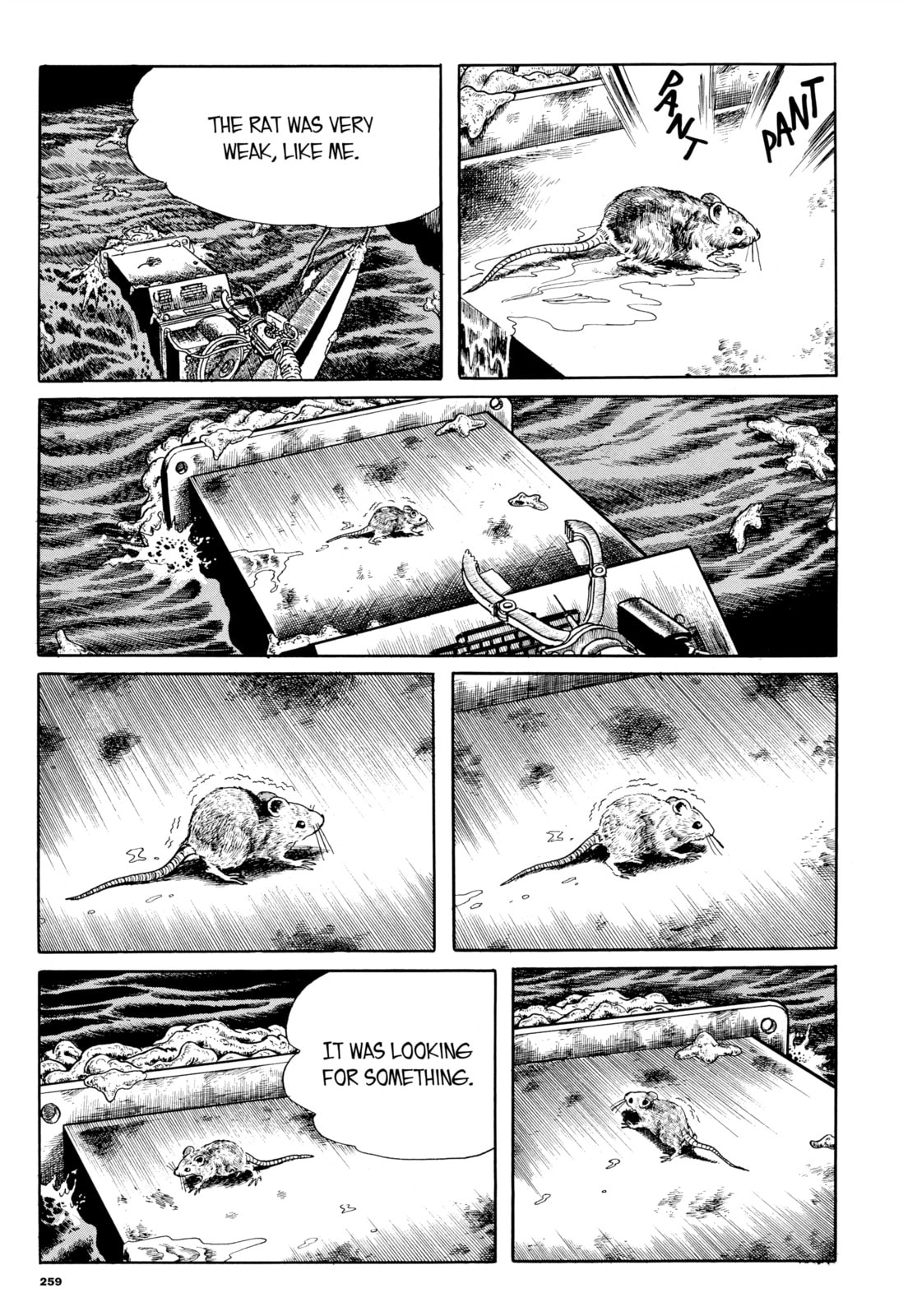 Read My Name is Shingo chapter 44 image 11 on Lezhin